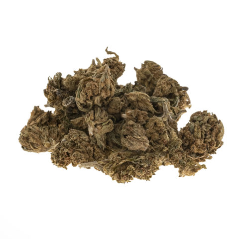 CBD-gras-hazelnut-baby-buds_haufen_web