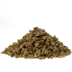 cbd-gras-harlequin-baby-buds-EU-haufen_web