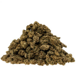 cbd-gras-premium-erdbeerli-haufen_web