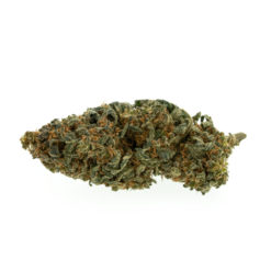 gras-cbd-premium-mango-kush_web