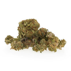 gras-cbd-strawberry-baby-buds_1_web