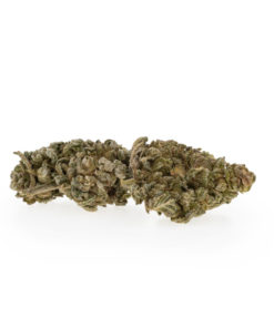 PremiumBlackBerry-1
