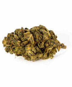PremiumSkywalkerOG12g-1