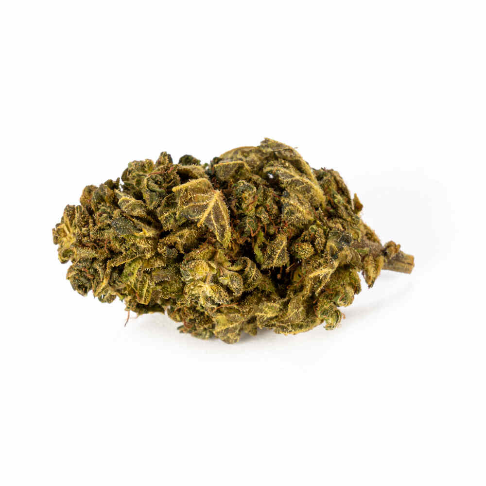 PremiumSkywalkerOG12g-1