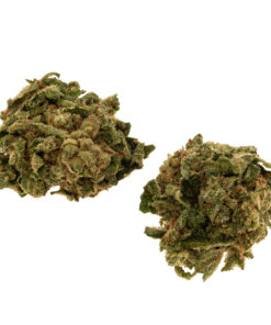 SourLemon-1